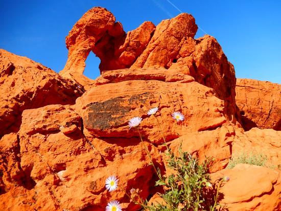 Elephant Rock