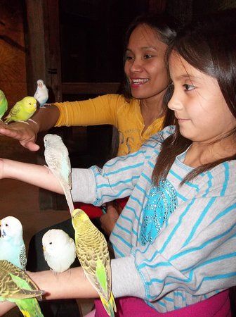 SeaQuest Las Vegas