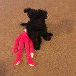 Pan-asian Express