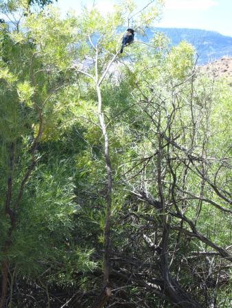 Oxbow Nature Study Area