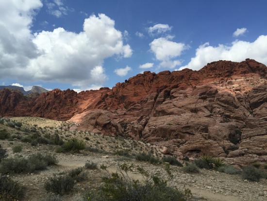 River Mountain Loop Trail
