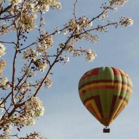 Las Vegas Balloon Rides